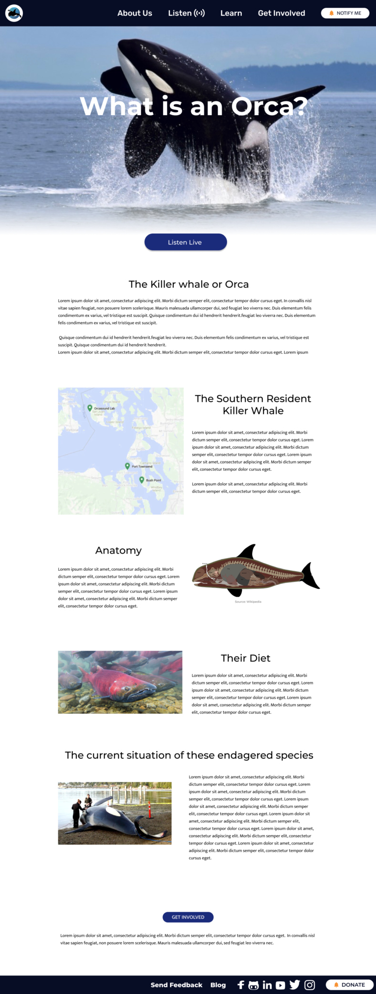 What is an Orca page